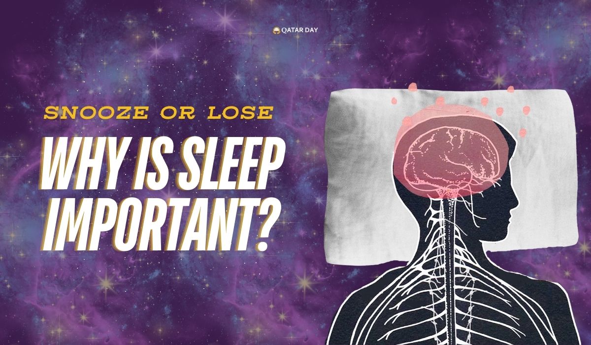 Snooze or Lose Why Sleep is Important for You